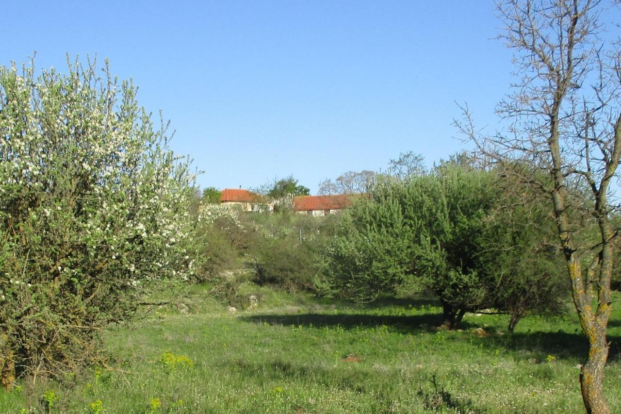 Stone House In A Quiet Landscape, Leonidion Villa Ngoại thất bức ảnh